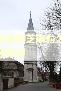 花呗逾期芝麻粒怎么快速获得 花呗逾期芝麻粒怎么快速获得
