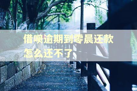 借呗逾期到零晨还款怎么还不了