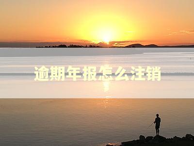 逾期年报怎么注销
