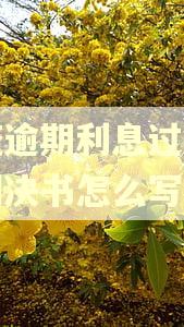 调整逾期利息过低民事判决书怎么写的