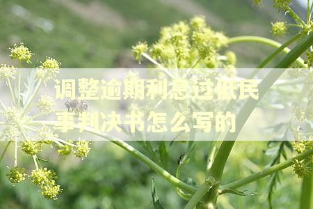 调整逾期利息过低民事判决书怎么写的