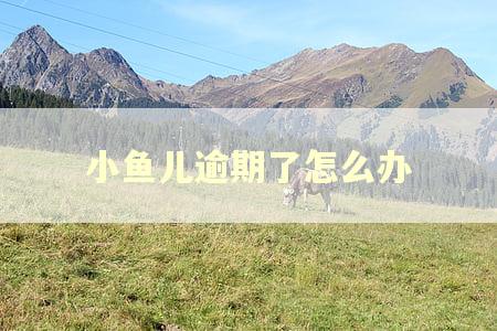 小鱼儿逾期了怎么办