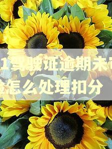 b1驾驶证逾期未审验怎么处理扣分
