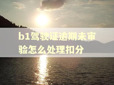 b1驾驶证逾期未审验怎么处理扣分