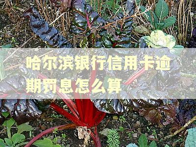 哈尔滨银行信用卡逾期罚息怎么算 哈尔滨银行信用卡逾期罚息怎么算