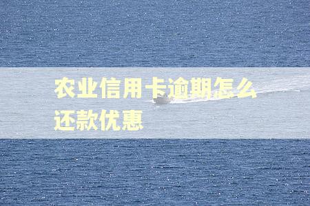 农业信用卡逾期怎么还款优惠