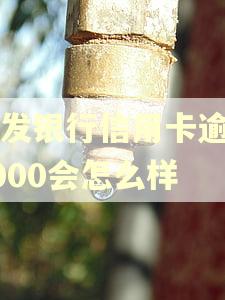 浦发银行信用卡逾期4000会怎么样