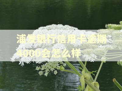 浦发银行信用卡逾期4000会怎么样 浦发银行信用卡逾期4000会怎么样