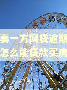 夫妻一方网贷逾期征信怎么能贷款买房