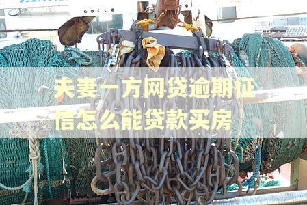 夫妻一方网贷逾期征信怎么能贷款买房