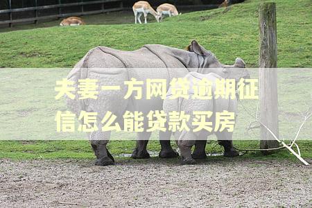 夫妻一方网贷逾期征信怎么能贷款买房