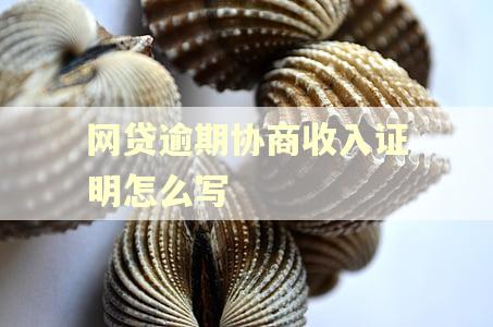 网贷逾期协商收入证明怎么写