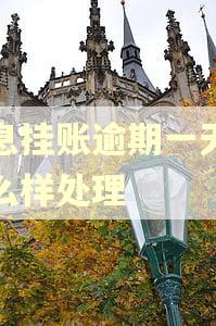停息挂账逾期一天会怎么样处理