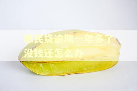 惠民贷逾期一年多了没钱还怎么办