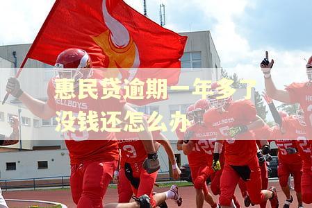惠民贷逾期一年多了没钱还怎么办