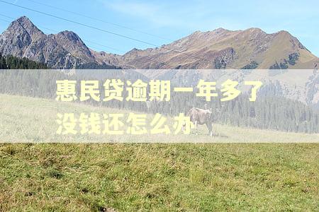 惠民贷逾期一年多了没钱还怎么办