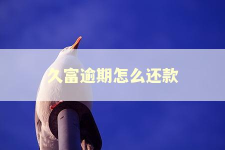 久富逾期怎么还款