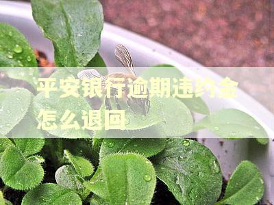 平安银行逾期违约金怎么退回