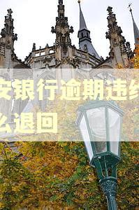 平安银行逾期违约金怎么退回