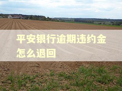 平安银行逾期违约金怎么退回