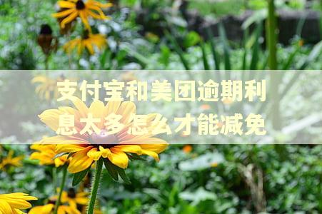 支付宝和美团逾期利息太多怎么才能减免