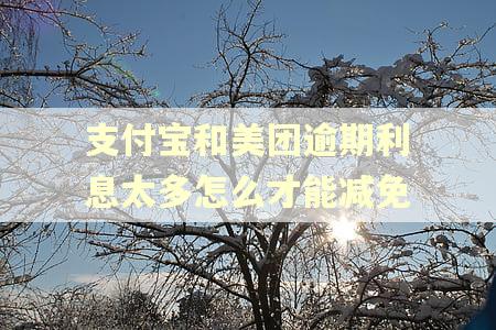 支付宝和美团逾期利息太多怎么才能减免
