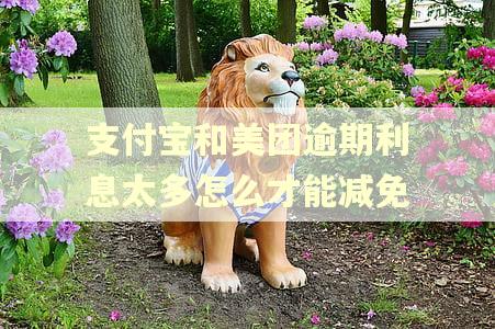 支付宝和美团逾期利息太多怎么才能减免