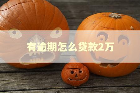 有逾期怎么贷款2万