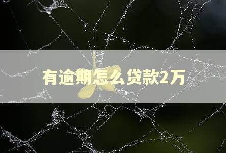 有逾期怎么贷款2万