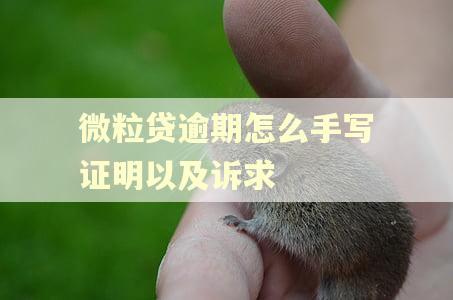 微粒贷逾期怎么手写证明以及诉求