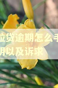 微粒贷逾期怎么手写证明以及诉求