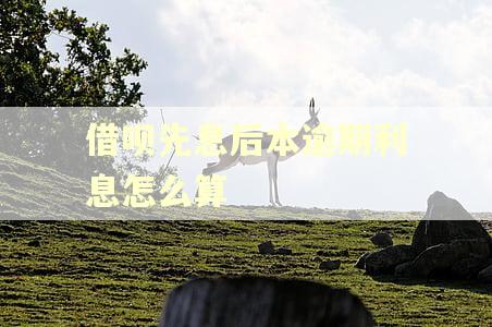 借呗先息后本逾期利息怎么算