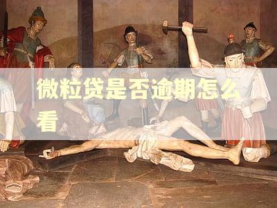 微粒贷是否逾期怎么看