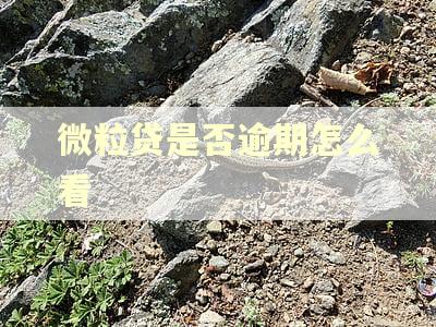 微粒贷是否逾期怎么看 微粒贷是否逾期怎么看