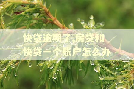 快贷逾期了,房贷和快贷一个账户怎么办