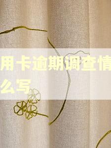 信用卡逾期调查情况怎么写
