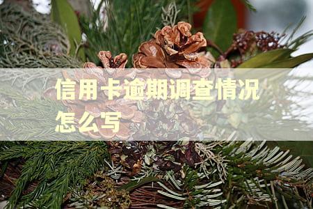 信用卡逾期调查情况怎么写