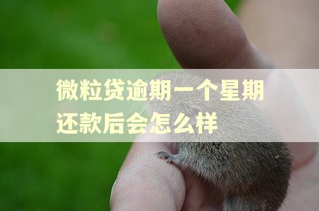 微粒贷逾期一个星期还款后会怎么样