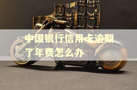 中国银行信用卡逾期了年费怎么办