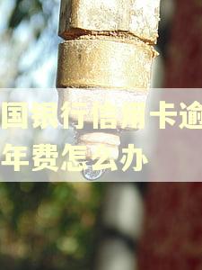 中国银行信用卡逾期了年费怎么办