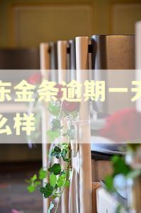 京东金条逾期一天会怎么样
