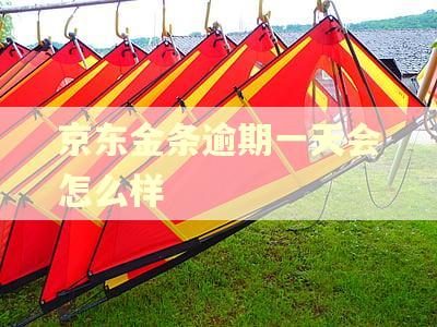 京东金条逾期一天会怎么样
