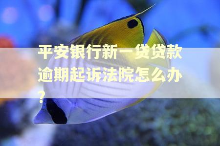 平安银行新一贷贷款逾期起诉法院怎么办? 平安银行新一贷贷款逾期起诉法院怎么办?
