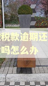 预缴税款逾期还收滞纳金吗怎么办 预缴税款逾期还收滞纳金吗怎么办