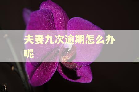 夫妻九次逾期怎么办呢