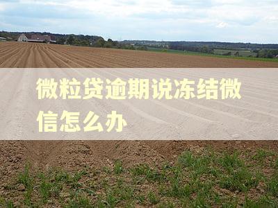 微粒贷逾期说冻结微信怎么办