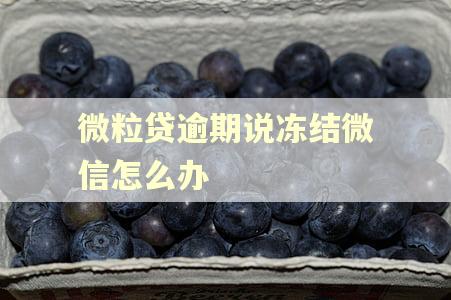 微粒贷逾期说冻结微信怎么办 微粒贷逾期说冻结微信怎么办