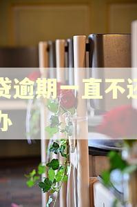 网贷逾期一直不还怎么办
