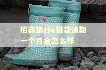 招商银行e招贷逾期一个月会怎么样