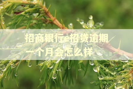 招商银行e招贷逾期一个月会怎么样